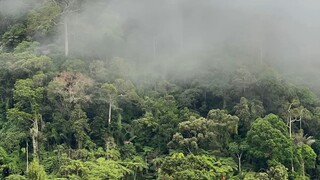 一生遇人千千万，能有几人天天念，相识相知就是缘，珍惜缘分无遗憾。    愿我们都健康、快乐每一天！早上好！[Worship][Worship][Worship]