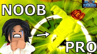 Bloxfruits Reworked Buddha V1 Noob to Pro