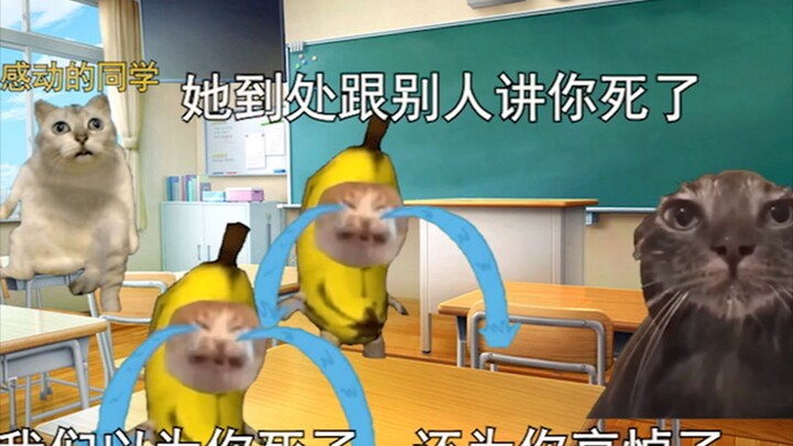 【猫meme】同学目睹我出车祸到处跟别人说我死了这件事