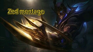 Zed montage