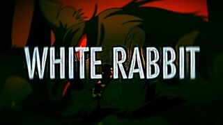 ★ White Rabbit ★ (Hosted by Sear)