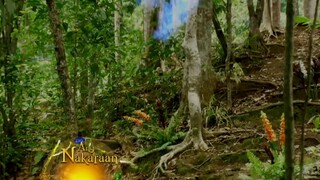 Encantadia 2016 Episode 23