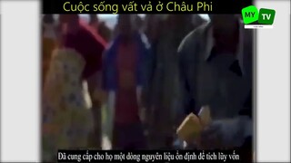 Cuộc sống mưu sinh vất vả ở Châu Phi_phần 3