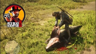 "Close Encounter: Alligator🐊 Attack on Arthur in 🤠Red Dead Redemption 2"🐎