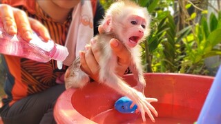 Crying Seizure!! Tiny adorable Luca crying loudly refuse Mom to take a bath for him