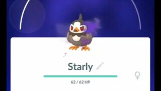 Pokémon GO-Purifying Shadow Starly