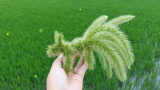 Tutorial on knitting a nine-tailed fox with dog tail straw. Let’s have fun knitting a nine-tailed fo