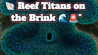 "🦠 Sex-Swapping, Reef-Building, Dying: The Secret Life of Giant Clams 🔥"