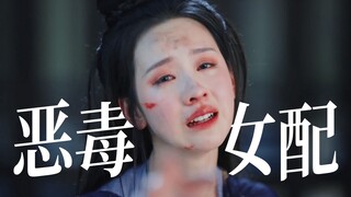 一个恶毒女配的一生