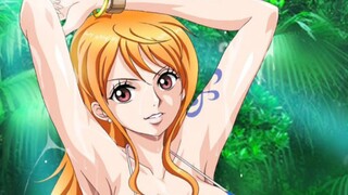 INILAH KESUKAAN KALIAN KAN - Amv One Piece