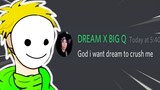 Documenting Dream Stans Discord server
