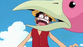 kita panggil saja dia si bodohh Luffy 🤣😂