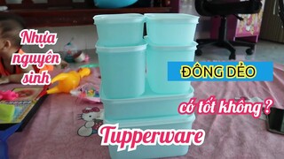 HỘP NHỰA  NGUYÊN SINH TUPPERWARE ĐÔNG DẺO ĐỂ TỦ LẠNH ĐỒ ĂN LUÔN TƯƠI