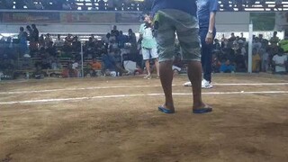 4 Stag Derby Cavite Coliseum 1st Fight Loss vs Jared Sta. Monica