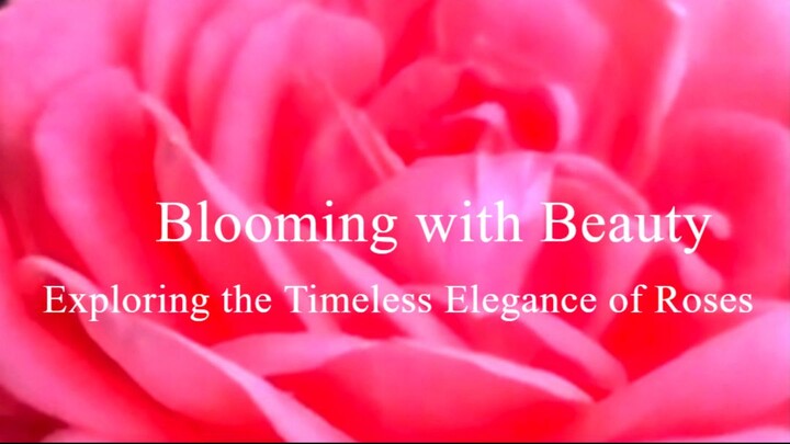 Blooming with Beauty