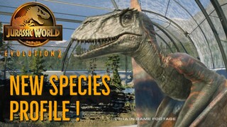 Our FIRST FLYING REPTILE Species Profile!  - Dimorphodon in Jurassic World Evolution 2