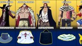 All One Piece Accessories In Blox Fruits