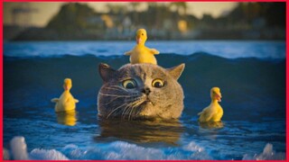 The Cat Who Rescued The Duckling.