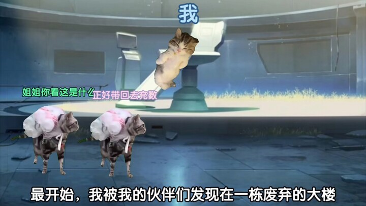 【猫meme】勇者的觉悟,钥匙的意义