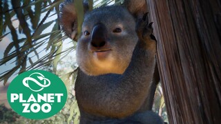 EVERY NEW ANIMAL - Planet Zoo || Australia DLC