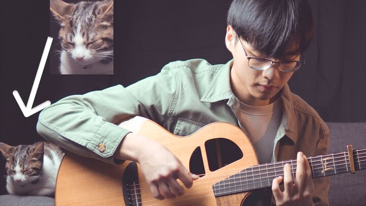 เพลงรักสองหัวใจ Orange 7!! | Wang Tianyuan Fingerstyle Guitar