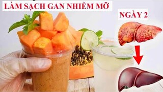 THỨC UỐNG MẠNH MẼ NHẤT LÀM SẠCH GAN NHIỄM MỠ, MÁU NHIỄM MỠ - NGÀY 2  - Clean Out Your Liver