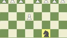 Queen gambit