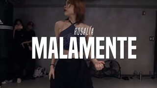 [Cover Tari] [Cheshir Ha] "Malamente" - LISA