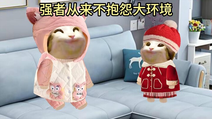 这么小就这么通透吗？