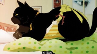 【能干猫】猫猫的叫起床服务