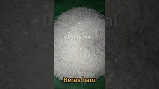 DYMA |ASMR RAW RICE EATING |Makan Beras | asmrrawriceeating| #asmrsounds  #asmr #shorts #mukbang