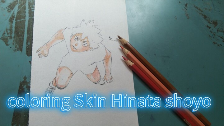 Speed Coloring Skin Shoyo Hinata - haikyuu