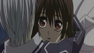 Vampire Knight || Yuki & Zero - My Passion