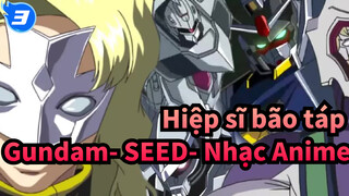 Rau Le Creuset | Hiệp sĩ bão táp Gundam SEED Nhạc Anime_3