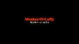 MONKEY ●D●LUFFY