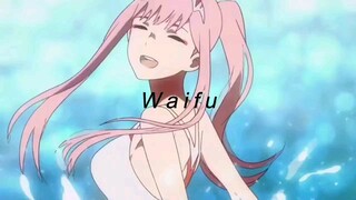 choose you waifu