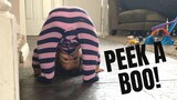 PEEK A BOO CONTORTIONIST BABY! | POOP ACCIDENT