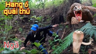 P2 Truy Tìm Đấu Vết Quái Thú Ăn Thịt Tha Xác Động Vật Khắp Rừng | Trần Thạch Vlogs