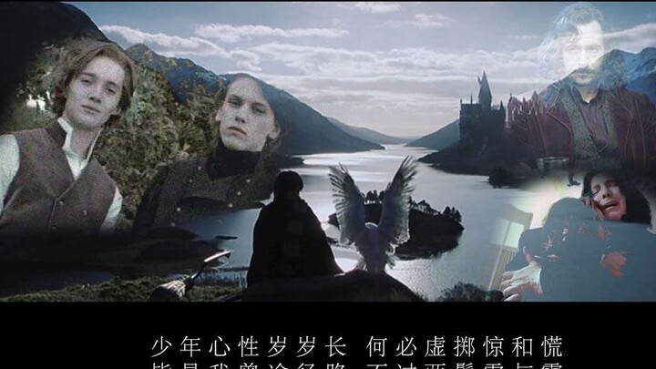 【HP】【FB】ภาพกลุ่มที่เผาไหม้และซาดิสต์·ปล่อยให้ไวน์ไหล——ทศวรรษนี้ ทศวรรษนั้น