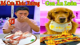 Thú Cưng TV | Đa Đa Thánh Chế #18 | Chó Golden Gâu Đần thông minh vui nhộn | Pets cute smart dog