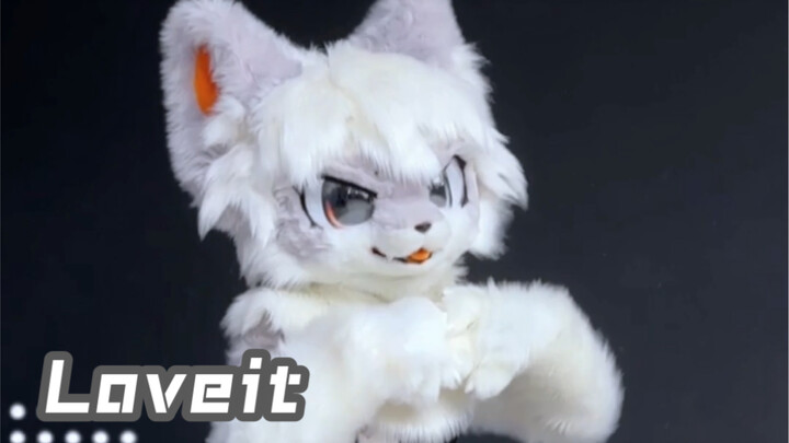 Cinta Mewah ☆ 【Tarian Fursuit】