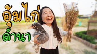 อุ้มไก่จ๋าดำนา (ไก่ยักษ์บราห์ม่า) Ep.183