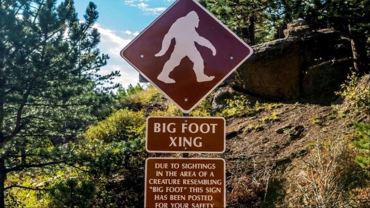 Bigfoot Discovered