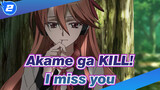 Akame ga KILL!|【AMV】I miss you，Chelsea_2