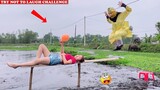 Best Funny Videos 2020 - Try Not To Laugh Challenge - Cười Vỡ Bụng | Episode 166