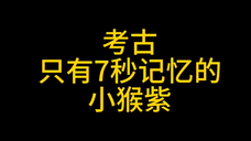 哎呀我就是杨紫的综艺狂粉儿!!!