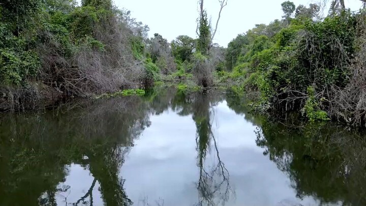 Menyusuri sungai yang indah