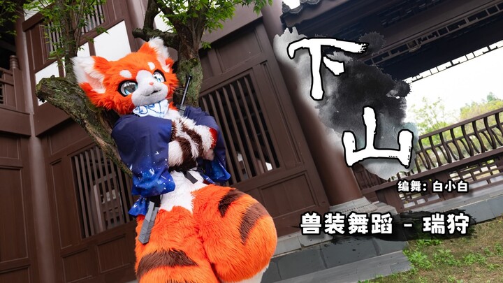 【兽装舞蹈】下山 by 瑞狩|为了一首歌练了两年武术？橘猫少侠养成记！