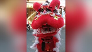 múa lân đi khai quang trong cuối tuần mualan mualansurong liondance mualanmuarong