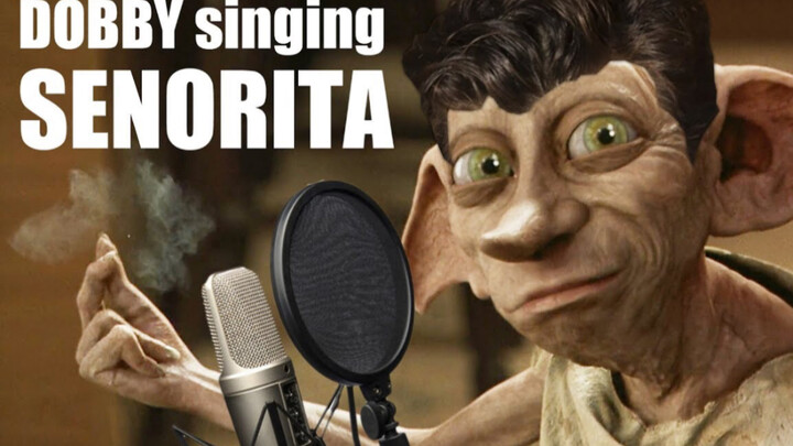  『BanYun』 Elf Dobby bernyanyi tentang Shawn Mendes dan Camila Señorita